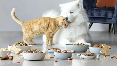 Alimentación para mascotas