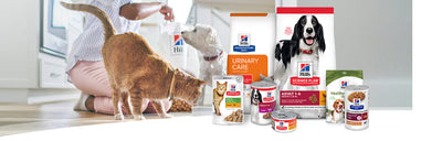 Alimento premium para mascota Hill's