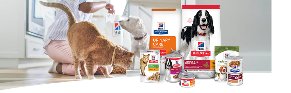 Alimento premium para mascota Hill's