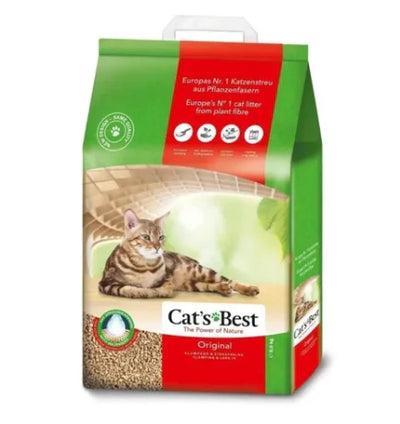 arena cats best