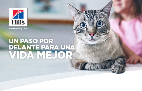 Hill’s Science Diet: La Mejor Nutrición para Perros y Gatos, Recomendado por Veterinarios