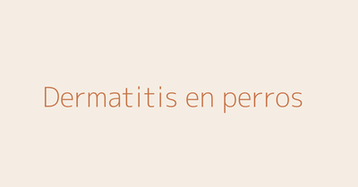 Dermatitis en perros guía veterinaria AniMALL
