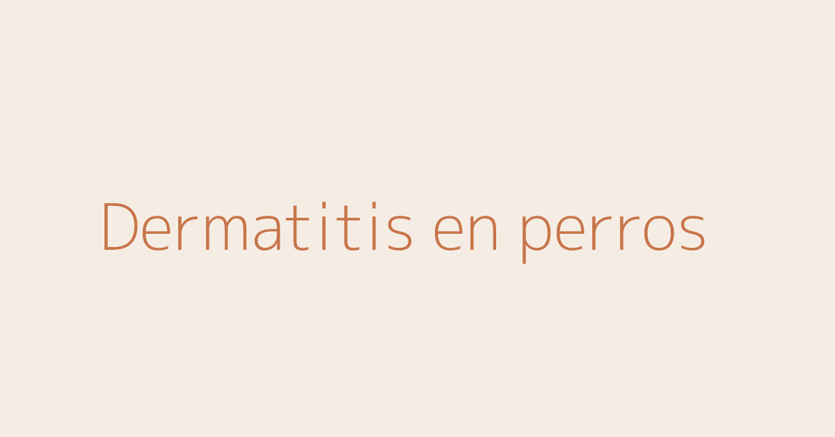 Dermatitis en perros guía veterinaria AniMALL