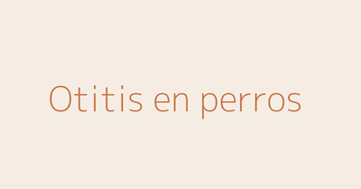 Otitis en perros guía AniMALL