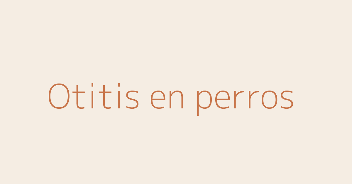 Otitis en perros guía AniMALL
