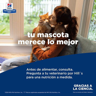 Alimento húmedo para gatos: cuándo darlo y cuándo es recomendable