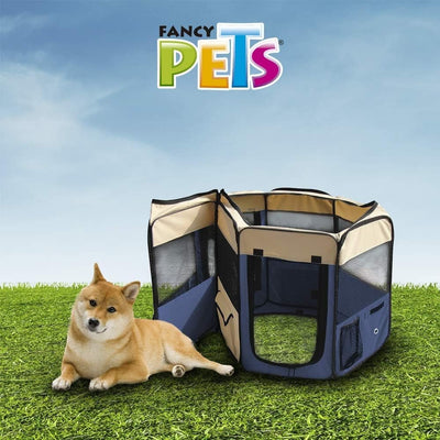 ¿Cómo tener un perro en un espacio pequeño?