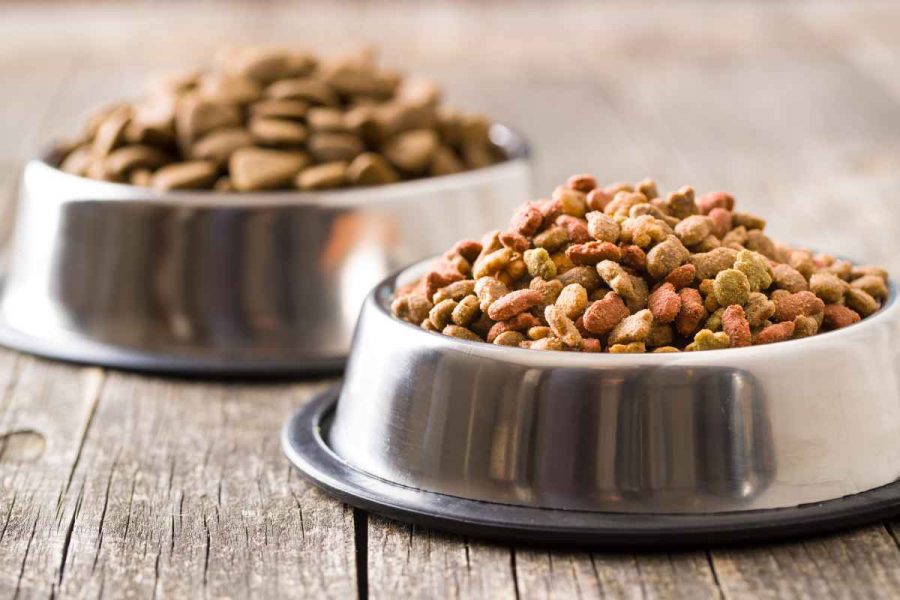 ¿Las croquetas son malas para los perros?