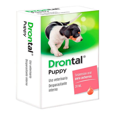 ¿Cuándo desparasitar a un cachorro por primera vez?
