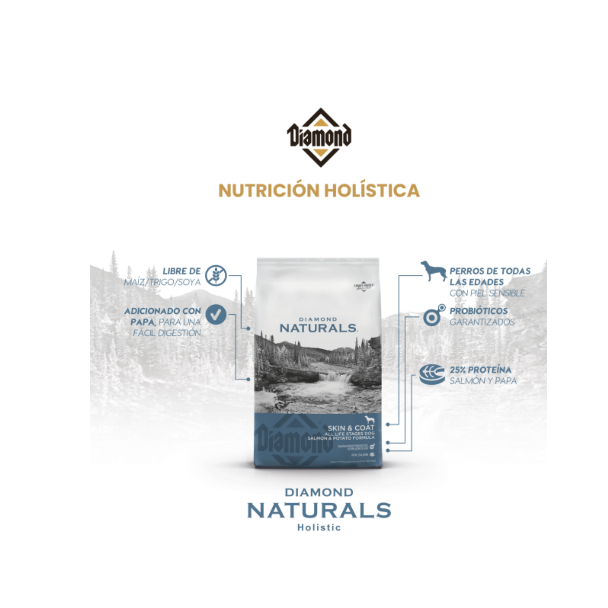 Nutrición con salmón para la salud de tu perro