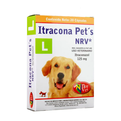 Itracona Pets: Protege a tu Mascota de Infecciones Fúngicas