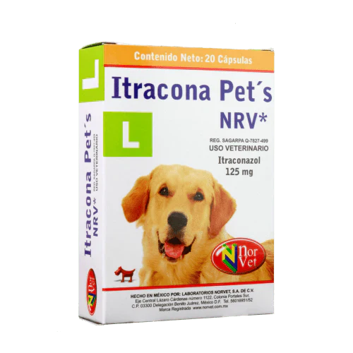 Itracona Pets: Protege a tu Mascota de Infecciones Fúngicas