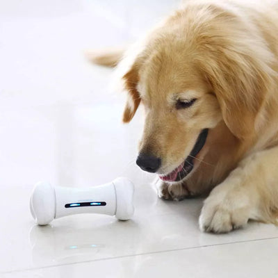 Juguetes interactivos para perro