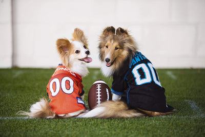 Cómo compartir tu pasión por la NFL con tus mascotas