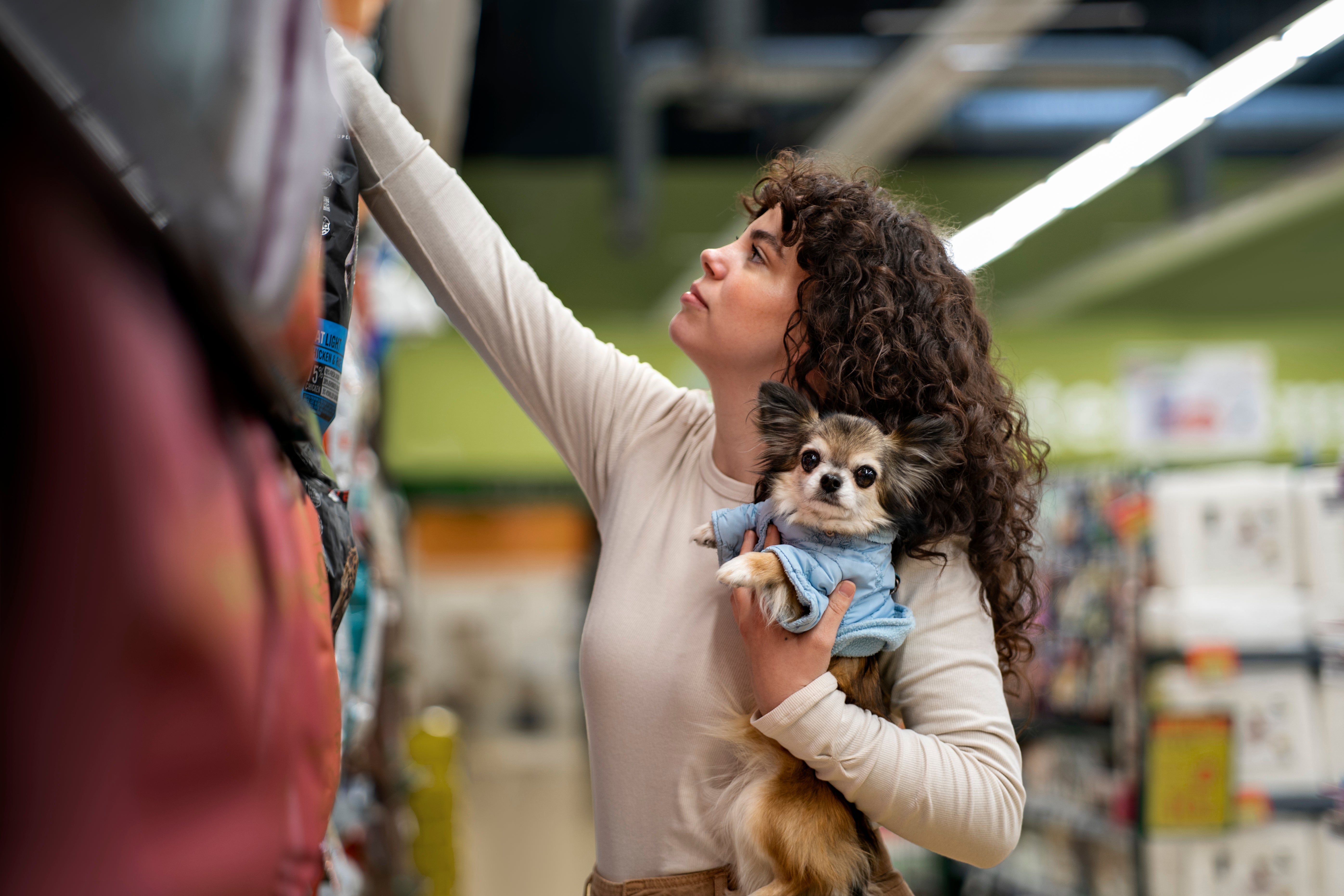 Premium vs. Retail: ¿Qué es mejor para tu mascota?