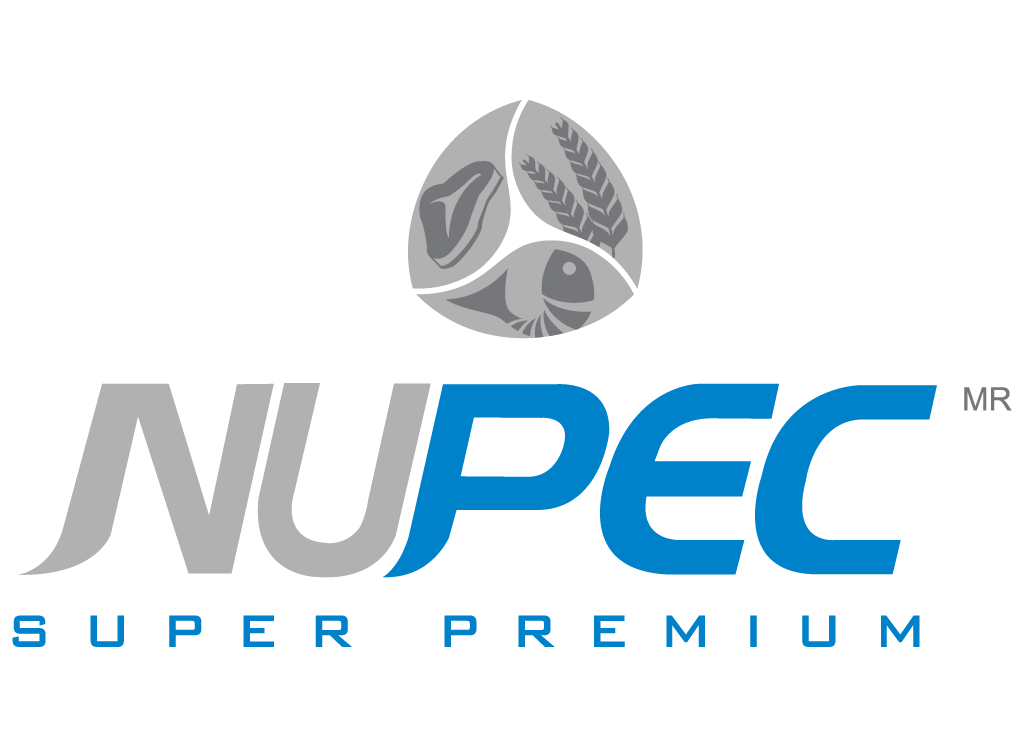 Nutrición especializada para tu gato: guía del alimento Nupec
