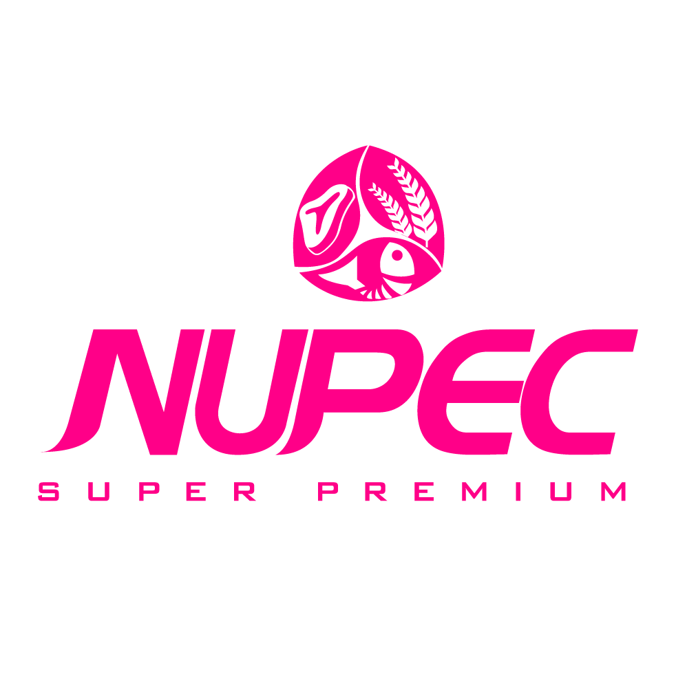 Nupec: Guía Completa