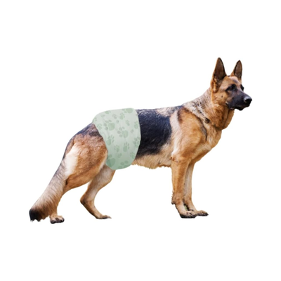 ¿Cómo hacer que mi perro haga en el pañal?