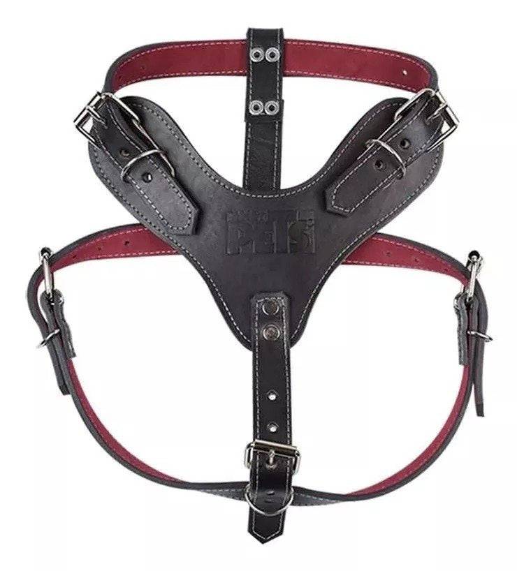 Pecheras para Perro: Elegancia, Comodidad y Seguridad en Cada Paseo