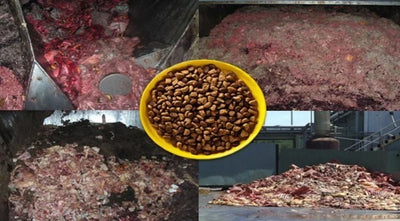 Peores marcas de alimentos para perros