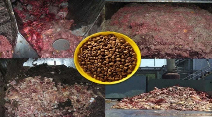 Peores marcas de alimentos para perros