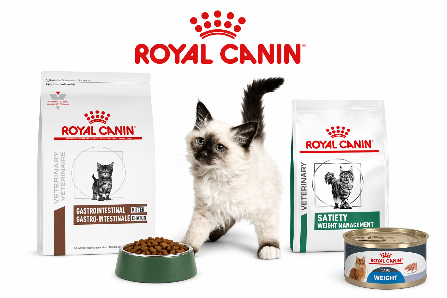 Productos Royal Canin para gatos