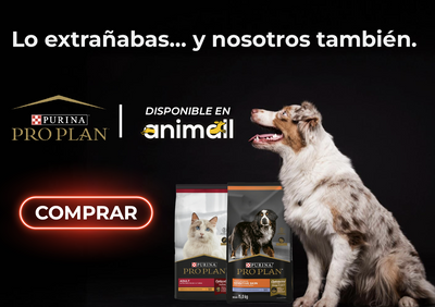 proplan