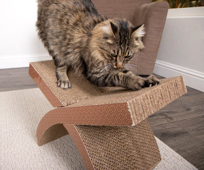 ¿Dónde colocar el rascador para gatos para que realmente lo usen (y no lo ignoren)?