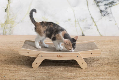 mejor rascador para gatos