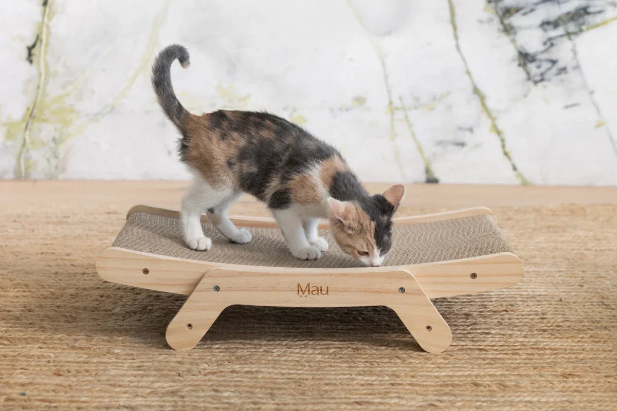 mejor rascador para gatos