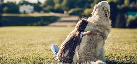 Cómo superar la muerte de una mascota
