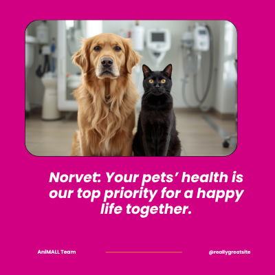 Norvet | AniMALL