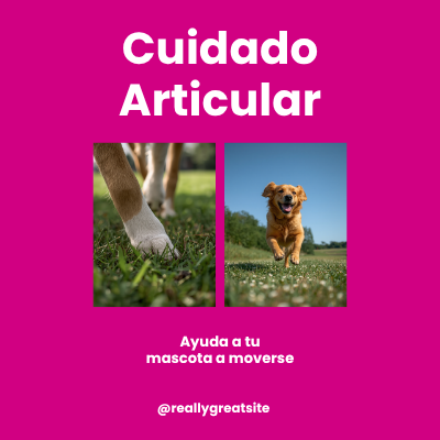 Piel y Pelo Cuidado Dermatológico | AniMALL