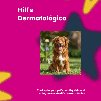Hill's Dermatológico | AniMALL