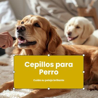 Cepillo para Perros