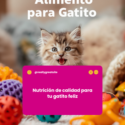 Alimento para Gatito | AniMALL