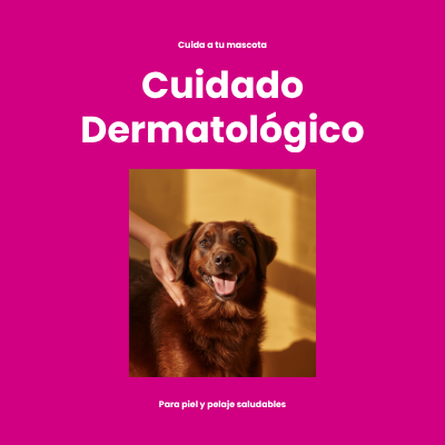 Cuidado Dermatológico Veterinario | AniMALL