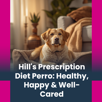 Hill's Prescription Diet Seco Perro | AniMALL