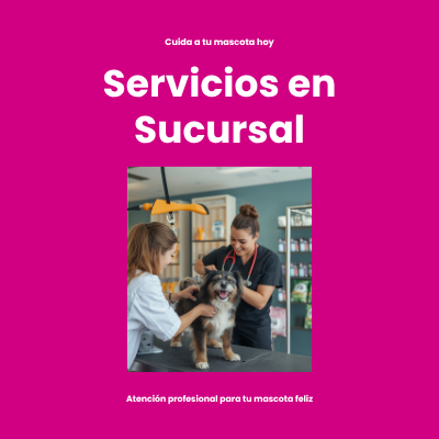 Servicios en Sucursal | AniMALL