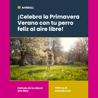 Primavera Verano | AniMALL