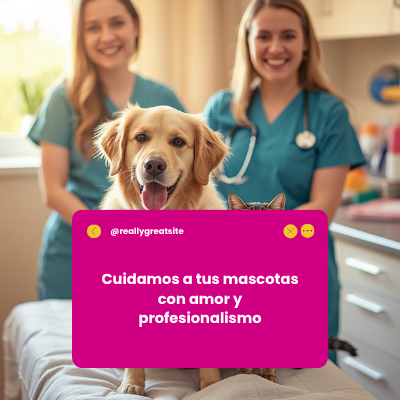 Laboratorio Holliday | AniMALL