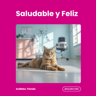 Virbac Prescripción Gato | AniMALL