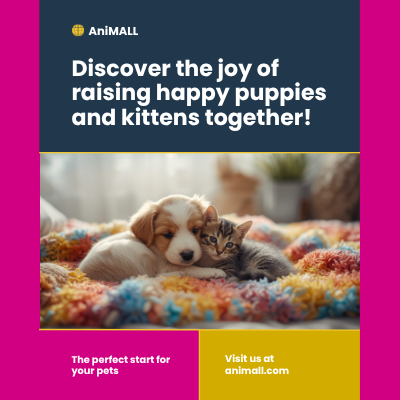 Royal Canin Cachorro y Kitten | AniMALL