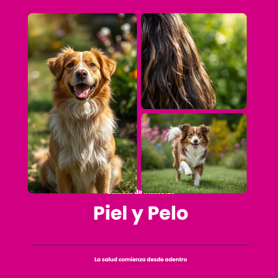 Piel y Pelo | AniMALL