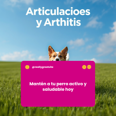 Articulaciones y Artritis | AniMALL