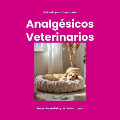 Analgésicos y Antiinflamatorios Veterinarios | AniMALL