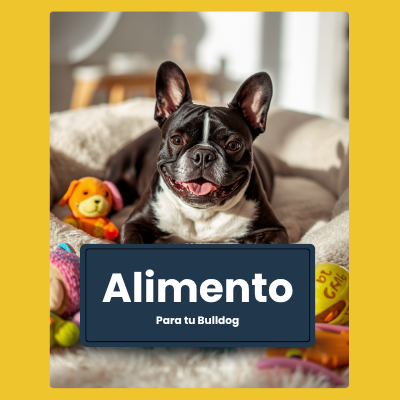 Alimento para Bulldog | AniMALL