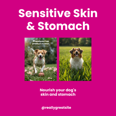 Hill's Sensitive Skin & Stomach | AniMALL