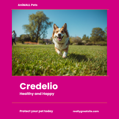 Credelio | AniMALL