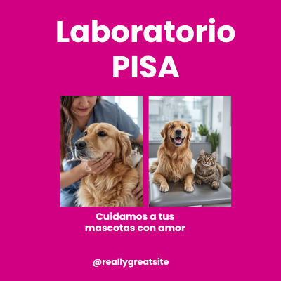 Laboratorio PISA | AniMALL